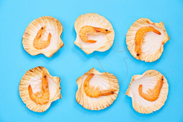 Shrimp in Shell on Blue Background. Seafood. Creative Feed