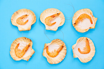 Shrimp in Shell on Blue Background. Seafood. Creative Feed