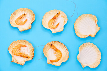 Shrimp in Shell on Blue Background. Seafood. Creative Feed