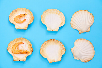 Shrimp in Shell on Blue Background. Seafood. Creative Feed