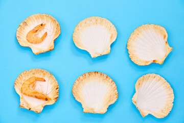Shrimp in Shell on Blue Background. Seafood. Creative Feed