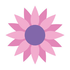pink sunflower icon on white background