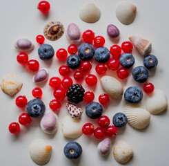 RED AND BLACK BERRIES AND SHELLS