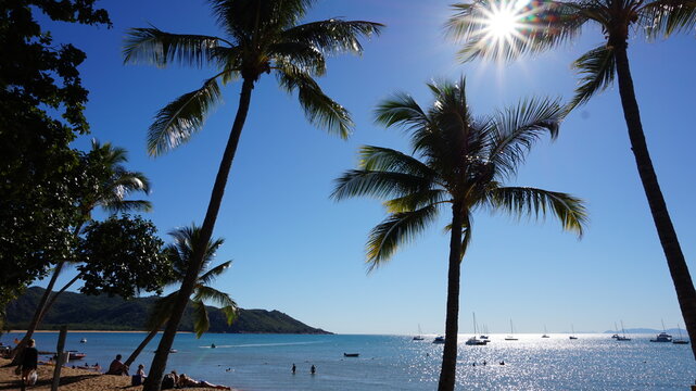 Traumstrand mit Palmen