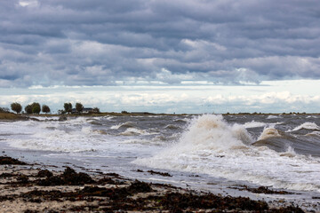 An der Küste von Fehmarn