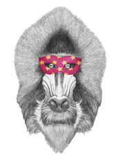 Portrait of Mandrill with a carnival mask. Hand-drawn illustration.