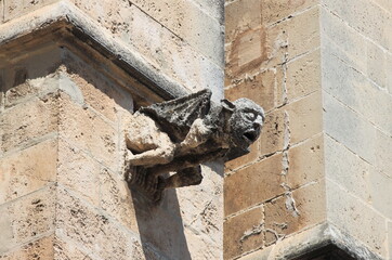 Fototapeta na wymiar Gargoyle in Palma de Mallorca cathedral, Spain