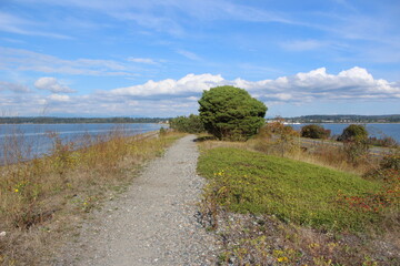 A trail along the Semiahmoo Spit in fall 