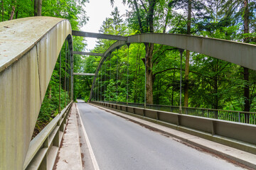 Modern bridge in the forest