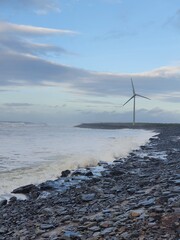 Fototapeta na wymiar wind turbines on the sea