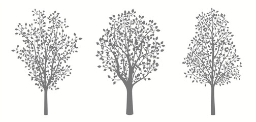 Silhouettes of three different trees on a white background
