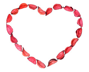 Heart shaped framing made of red rose petals on white background
