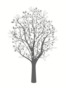 Drawing of a tree in gray in vintage style on a light background