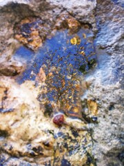 water flowing over rocks