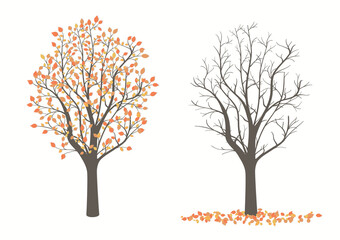 Drawing of a tree with leaves in two versions on a light background