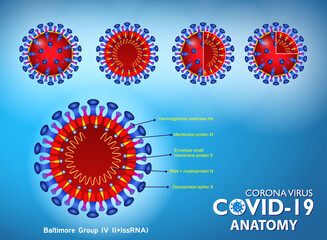 set of realistic covid-19 anatomy background concept or realistic vaccine ampule syringe or covid-19 prevention concept. eps 10 vector, easy to modify