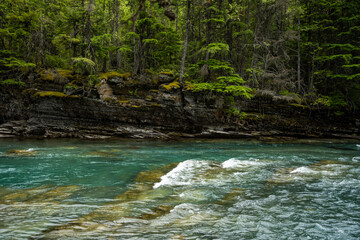 Fototapeta na wymiar Rapids of McDonald Creek Flow in Glacier National Park