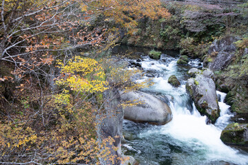 沢の秋