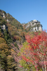 岩山の秋