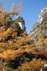 紅葉の山
