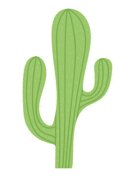 cactus of ligth green color icon in white background