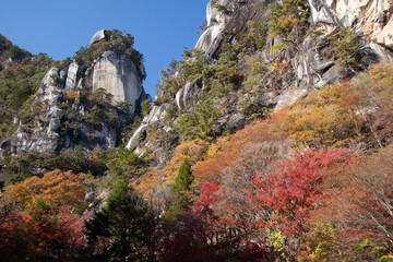 紅葉の山