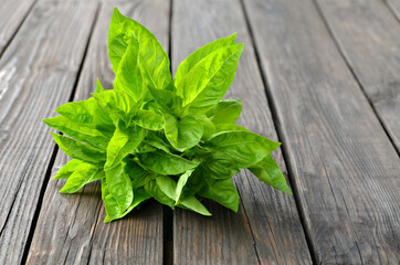 Bunch fresh green basil on a rustic wooden background, close-up