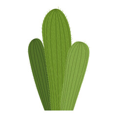 cactus icon on white background