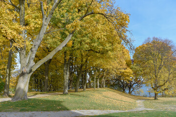 Naklejka premium Autumn in the Park