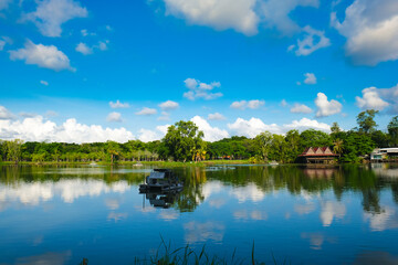Fototapeta na wymiar Green tree park meadow pool against blue sky with cloud