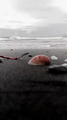 storm over the sea © M