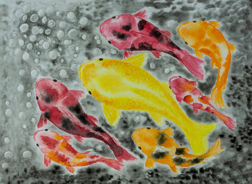 Koi fish or colorful fancy carp illustration watercolor hand drawing
