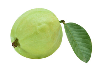 Water drop, Fresh guava with leaf isolated on white background.