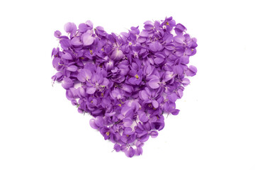Heart made with petal of purple flowers on white