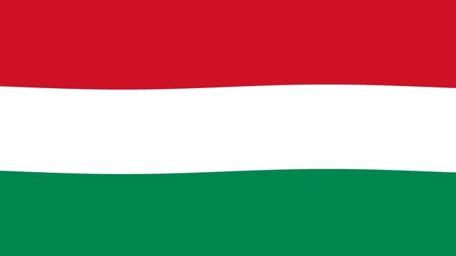 Waving Full Frame Hungarian Hungary Flag