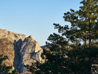 Image of cliff in early spring.