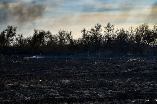 Wildfires. Burning estuary. Fire in the steppe.