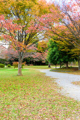 Naklejka premium 秋 仙台の小さな公園