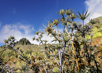 Gredos