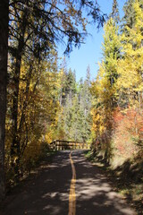Fototapeta na wymiar Fall Trail, Glenora Ravine, Edmonton, Alberta