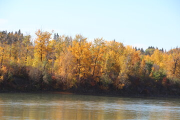 Obraz premium Autumn On The Riverbank, Government House Park, Edmonton, Alberta
