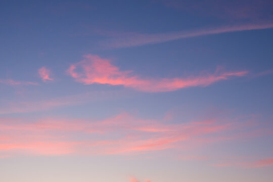 Translucent pink clouds against the blue sky. Evening sunset.
