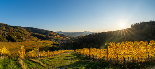 Beautiful shot of Black Forest in Germany on a warm autumn day - obrazy, fototapety, plakaty