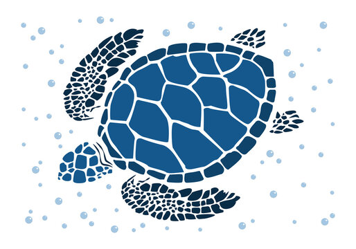 graphic sea turtle,vector illustration of sea turtle,vector of turtle design on a white background,save a turtle.