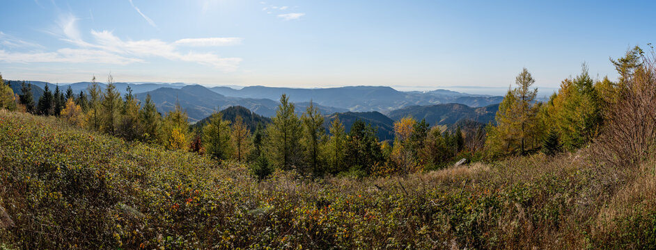 30,073 BESTE Bruderholz BILDER, STOCK-FOTOS & -VEKTORGRAFIKEN | Adobe Stock