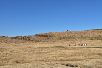 Obraz premium Image of Scenery of Aso [October]