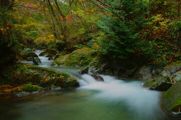 美しき晩秋の清流
