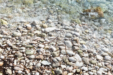 shore with stones