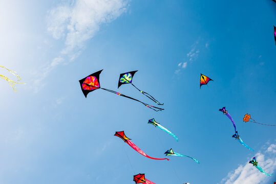 Kites with blue sky and white clouds