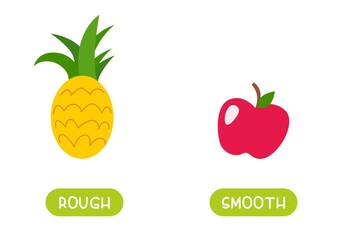ROUGH and SMOOTH antonyms word card vector template. Flashcard for english language learning. Opposites concept. Different surface types like example pineapple and apple